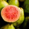 guava fruit