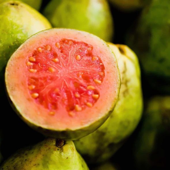 Guava Fruit - Information and Facts - auscrops.com.au