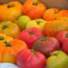 heirloom tomatoes