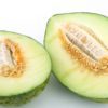 honeydew