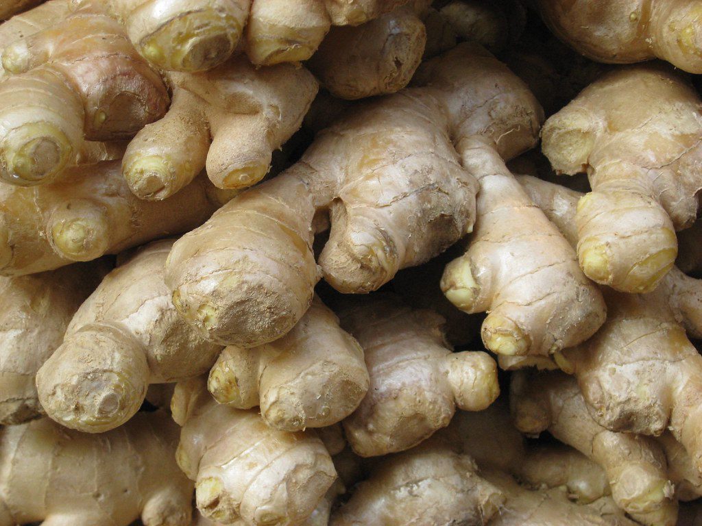 is ginger a root
