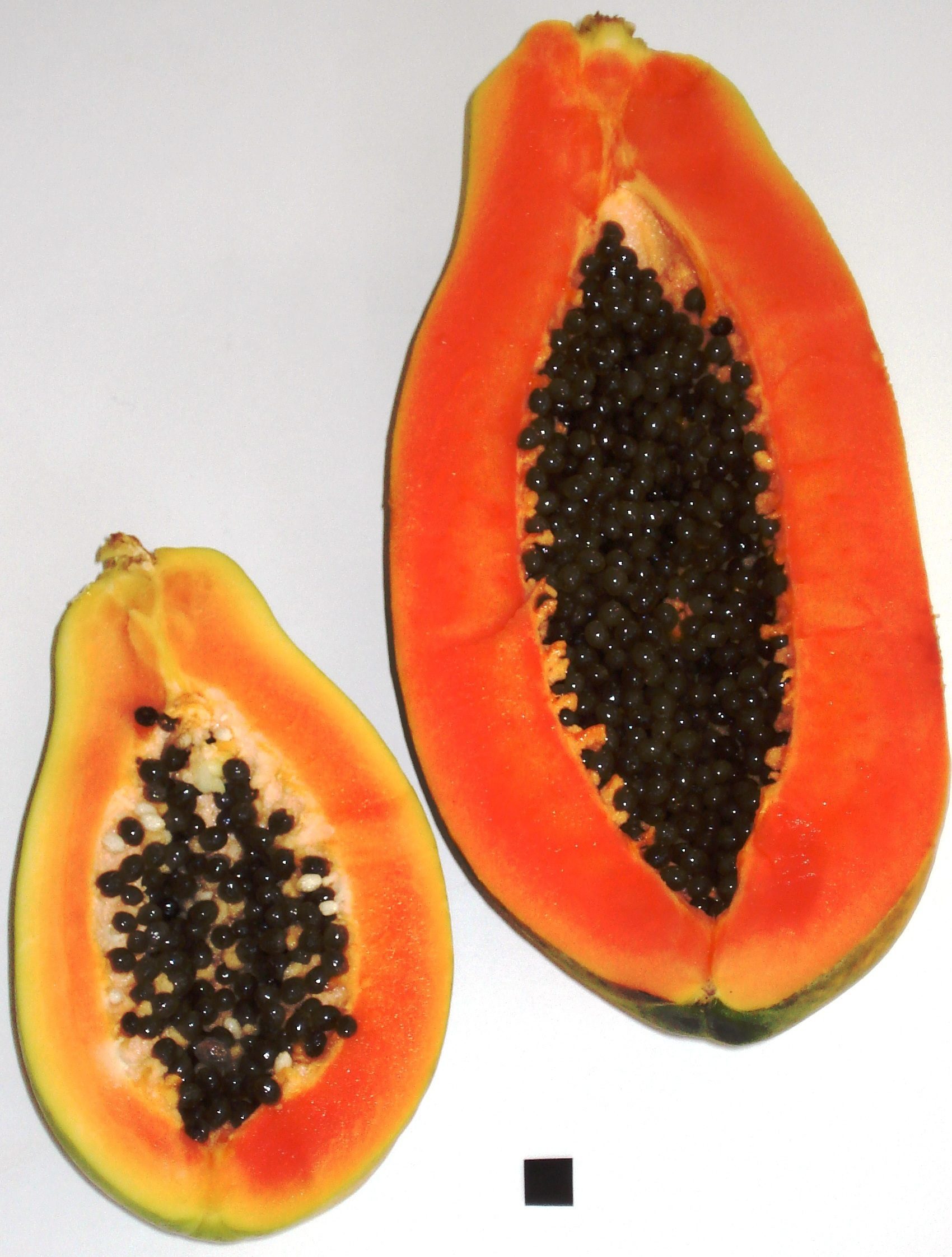 is papaya a fruit