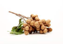 longan