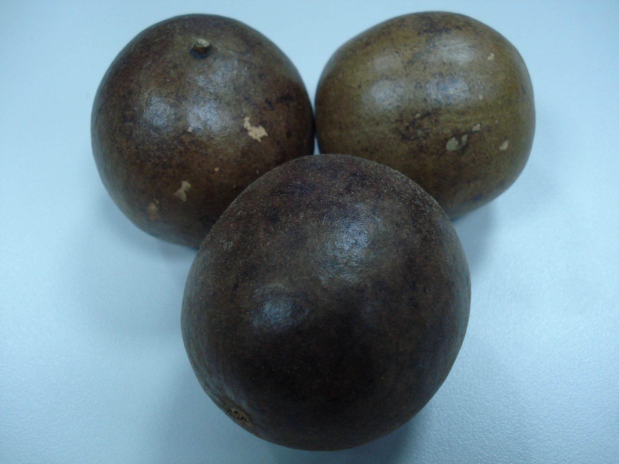 monk fruit