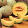 muskmelon