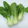 pak choy