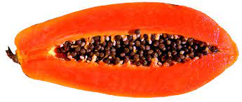 papaya fruit