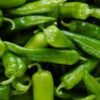 pepperoncinis