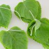 perilla leaves