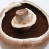 portabella mushroom