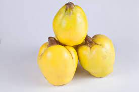 quince fruit