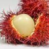 rambutan