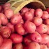 red potatoes