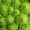 romanesco