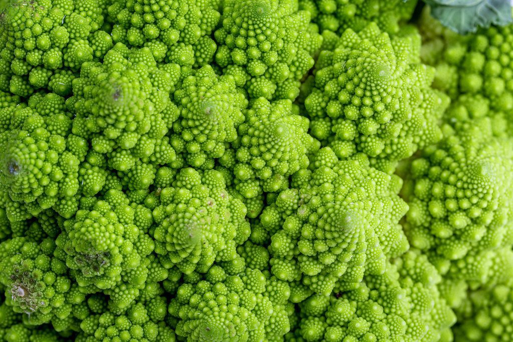 romanesco