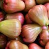 rose apples