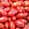 san marzano tomatoes