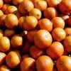 satsuma