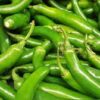 serrano