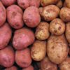 starchy potatoes