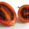 tamarillo