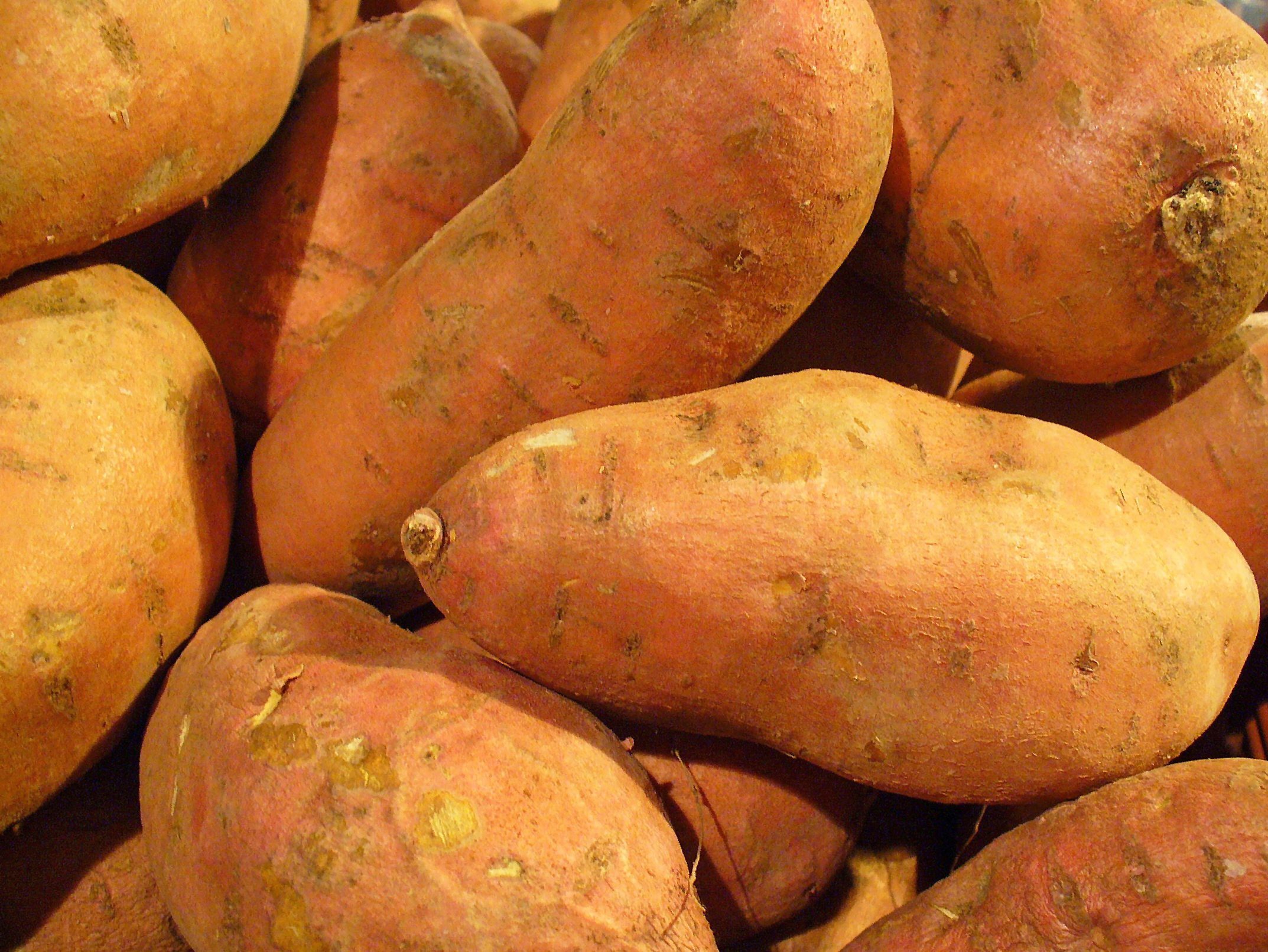 what is yam