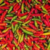 Cabe Merah Panjang Peppers