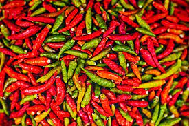 Cabe Merah Panjang Peppers