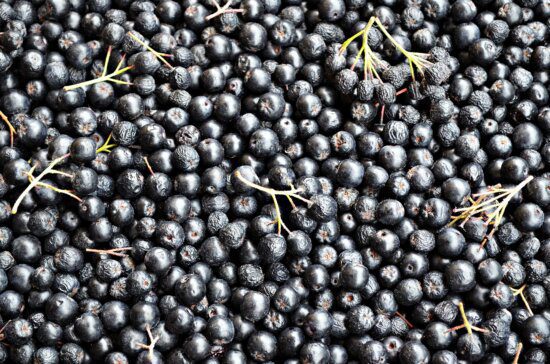 acai fruit