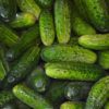 are pickles cucumbers
