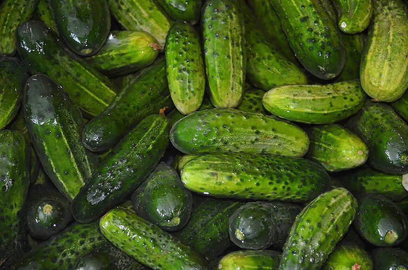 are pickles cucumbers