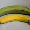 banana vs plantain