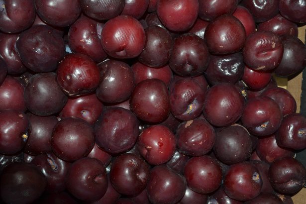 black cherries