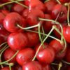 cherry morello