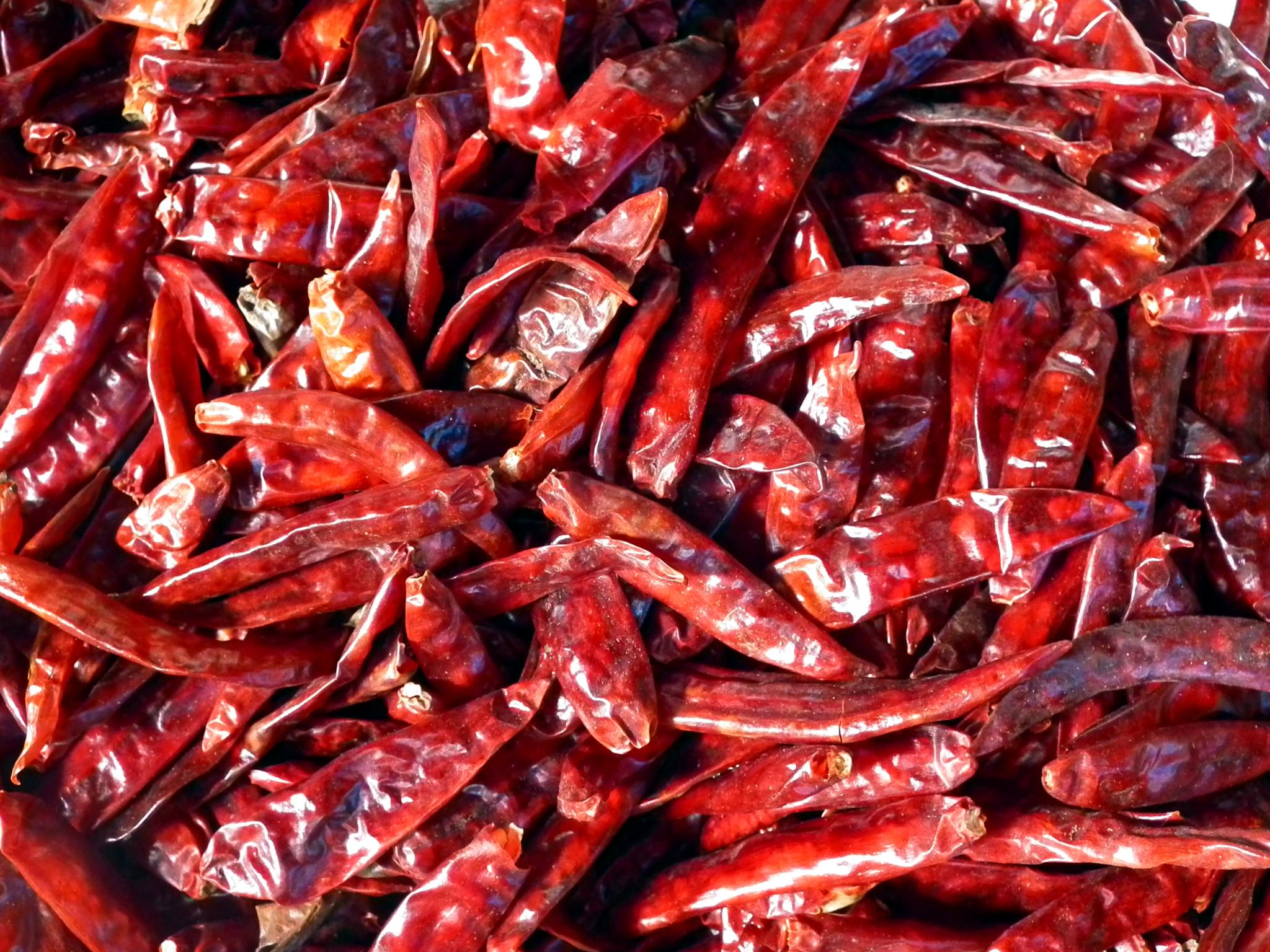 Dried Chiles - auscrops.com.au