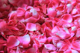 flower petal