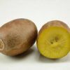 golden kiwi