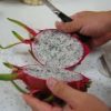 how to cut a dragon fruit