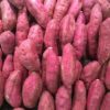 japan sweet potato