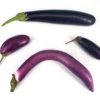 japanese eggplants
