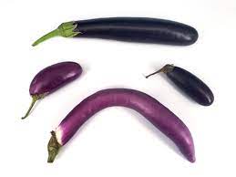 japanese eggplants