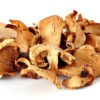 mushroom dried