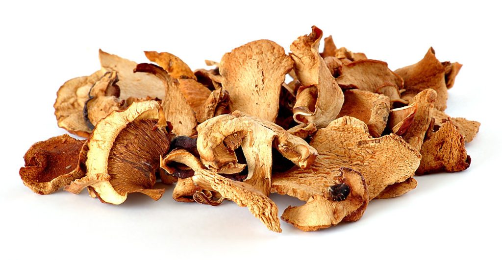 mushroom dried