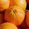 orange valencia