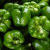 pepper green