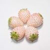 pineberry
