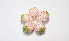 pineberry