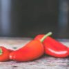 piquillo pepper