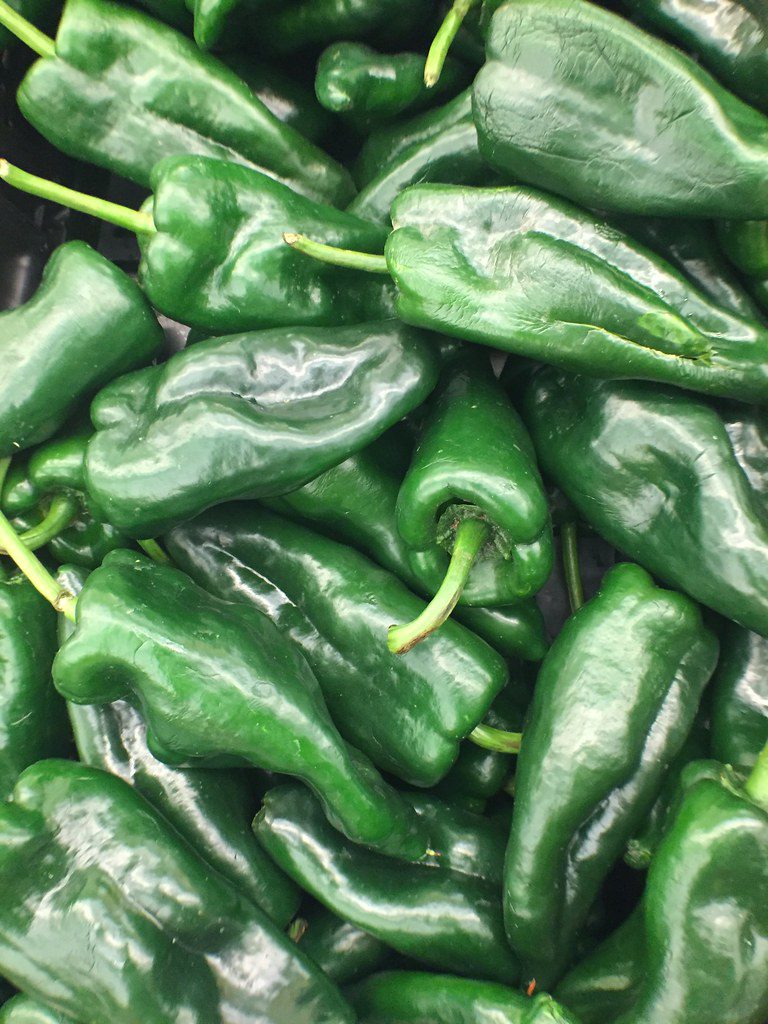 poblano-information-and-facts-auscrops-au