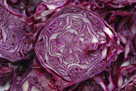 purple cabbages
